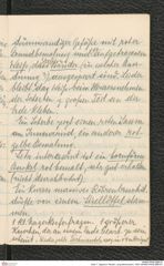 Seite 7, Tagebuch "Neolith. Lang-Mannersdorf | 1920" (NHMW-PRAE-BBB-87)